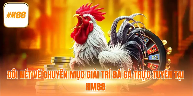 Đôi nét về chuyên mục giải trí đá gà trực tuyến tại HM88